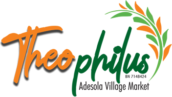 Theophilus Adesola Village Market