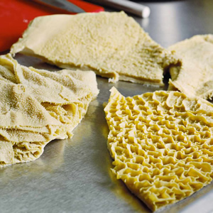 Cow Tripe